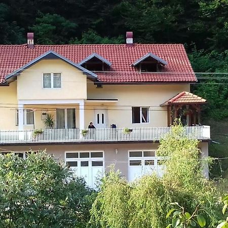 Guča Guesthouse Stanojevic المظهر الخارجي الصورة