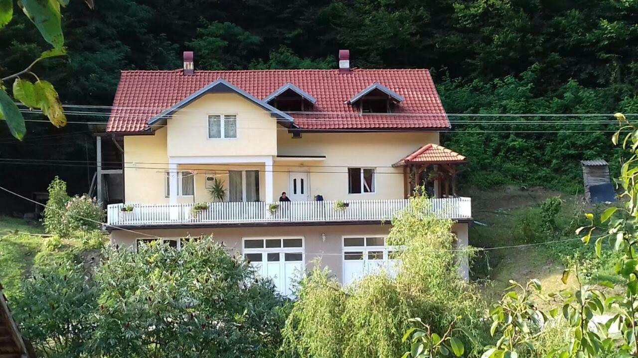Guča Guesthouse Stanojevic المظهر الخارجي الصورة