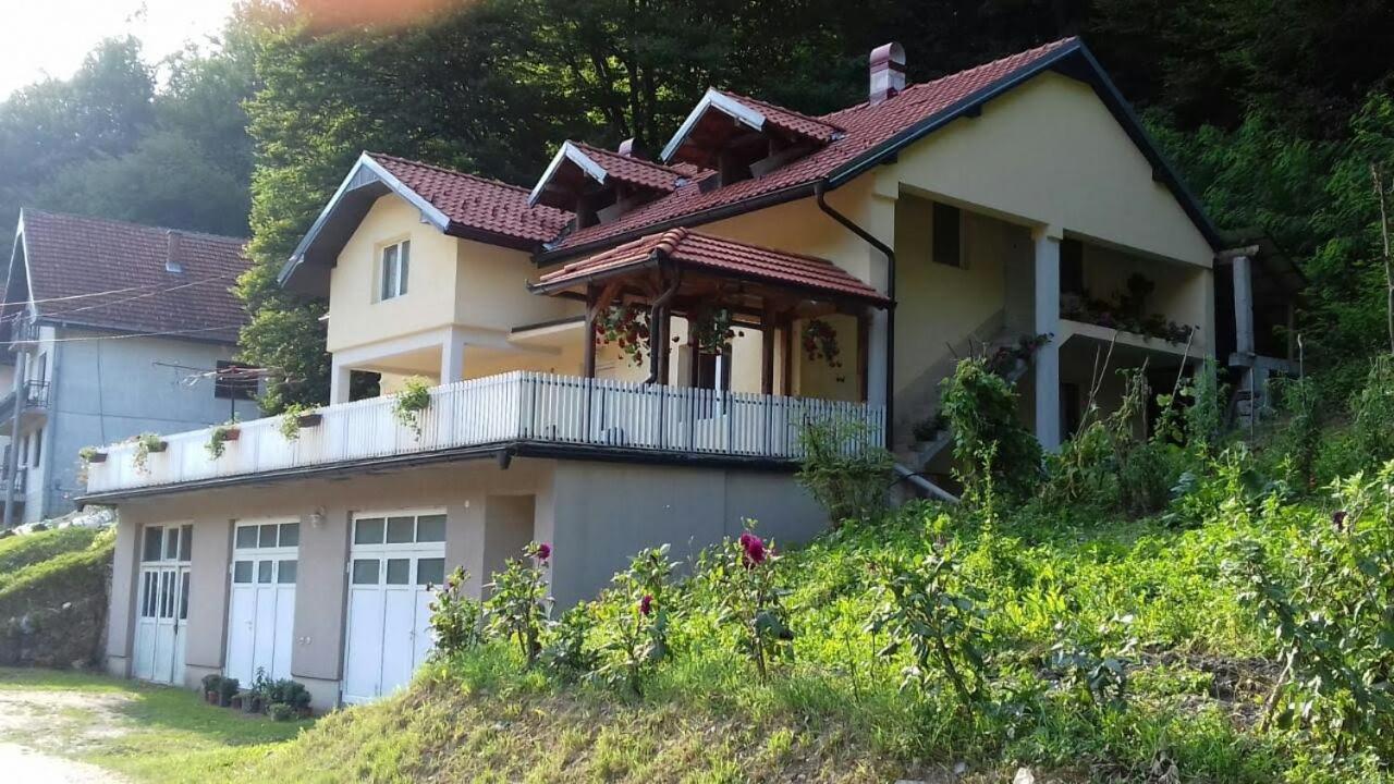 Guča Guesthouse Stanojevic المظهر الخارجي الصورة