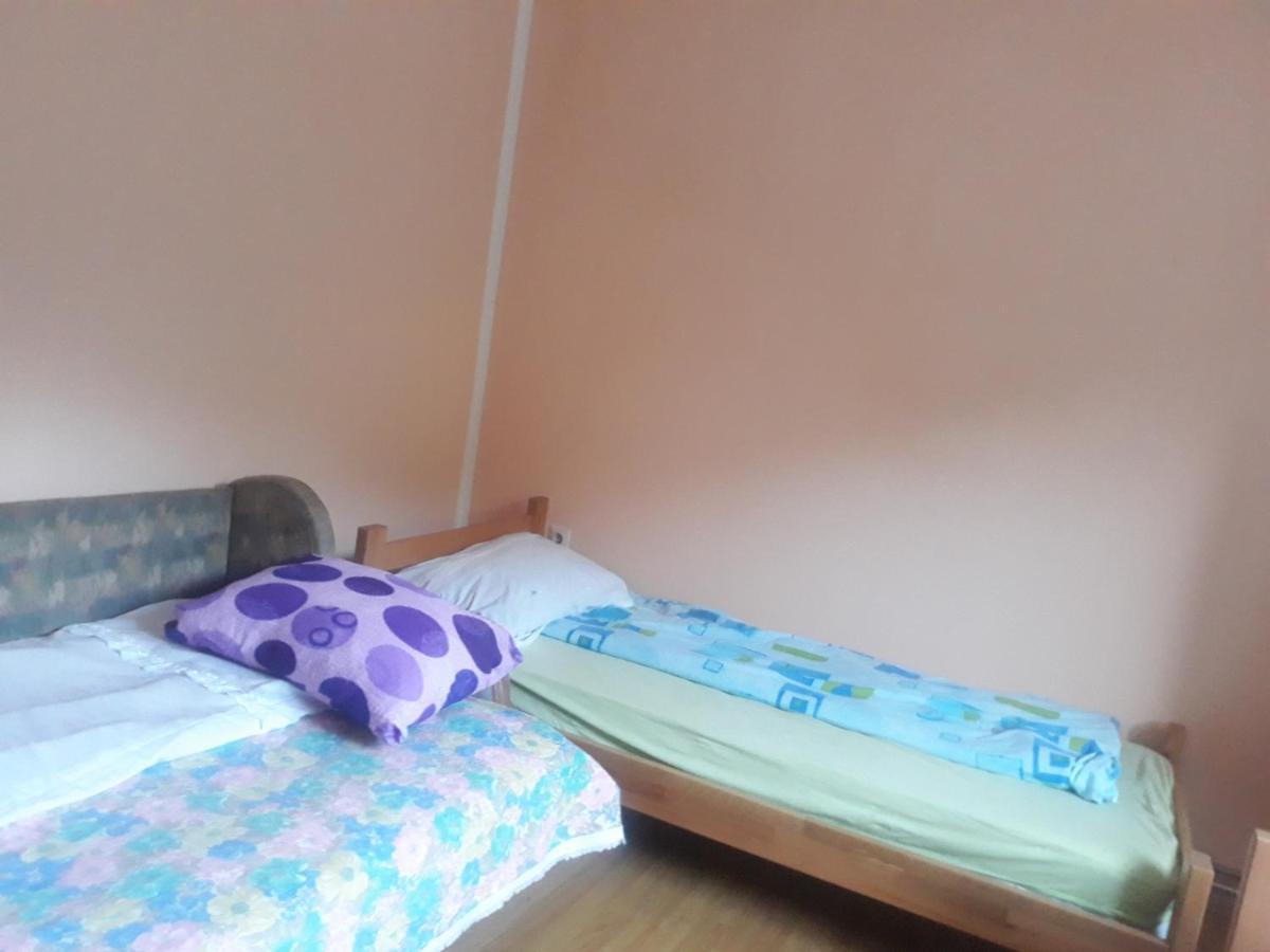 Guča Guesthouse Stanojevic المظهر الخارجي الصورة