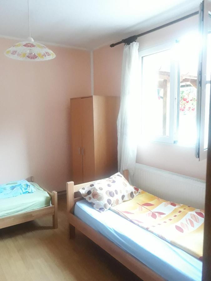 Guča Guesthouse Stanojevic المظهر الخارجي الصورة
