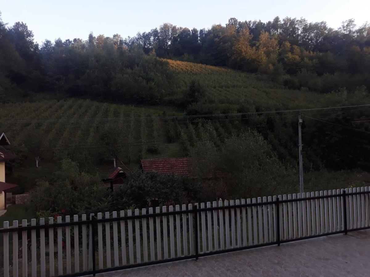 Guča Guesthouse Stanojevic المظهر الخارجي الصورة